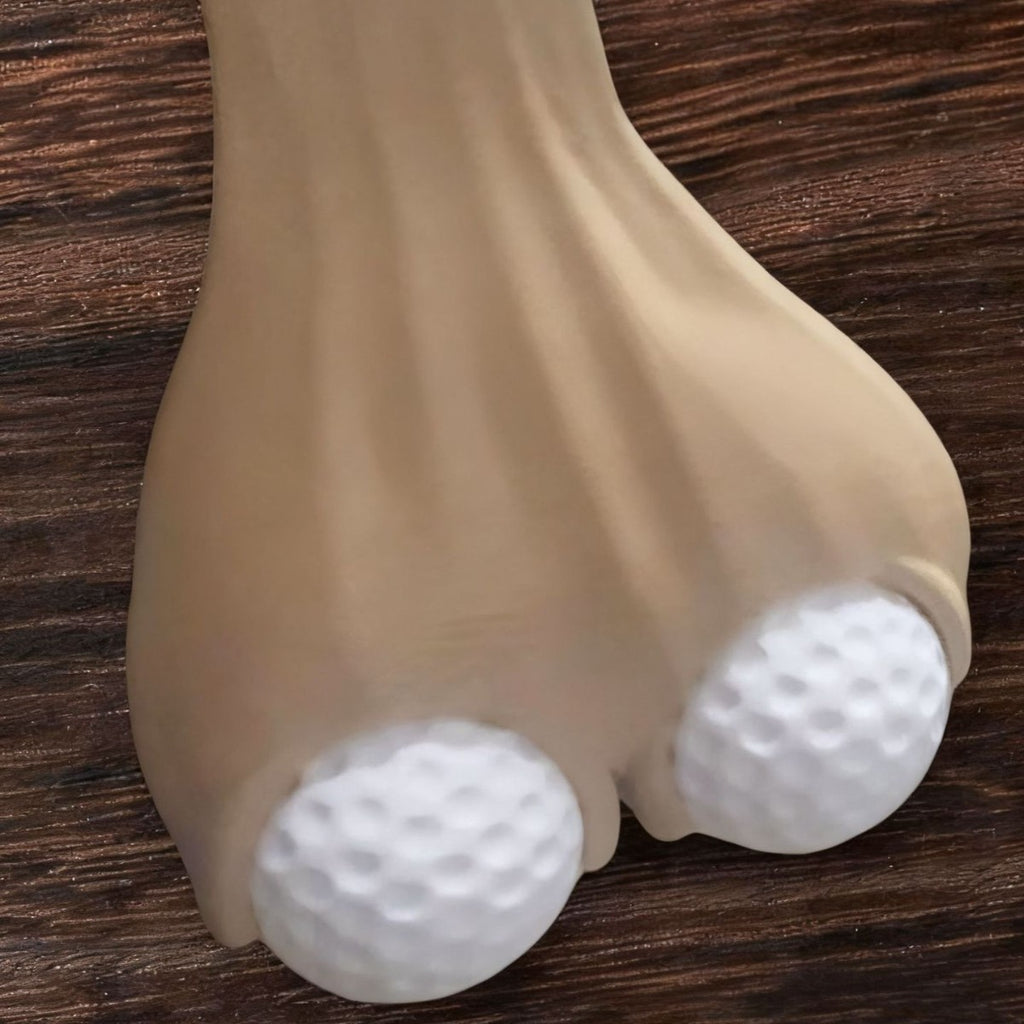 Golf bag holder