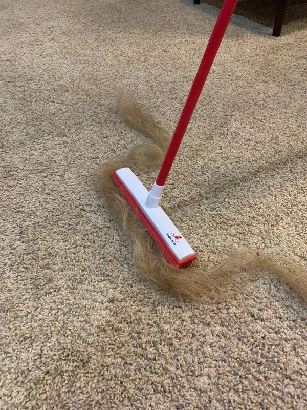 Hair Removal Broom