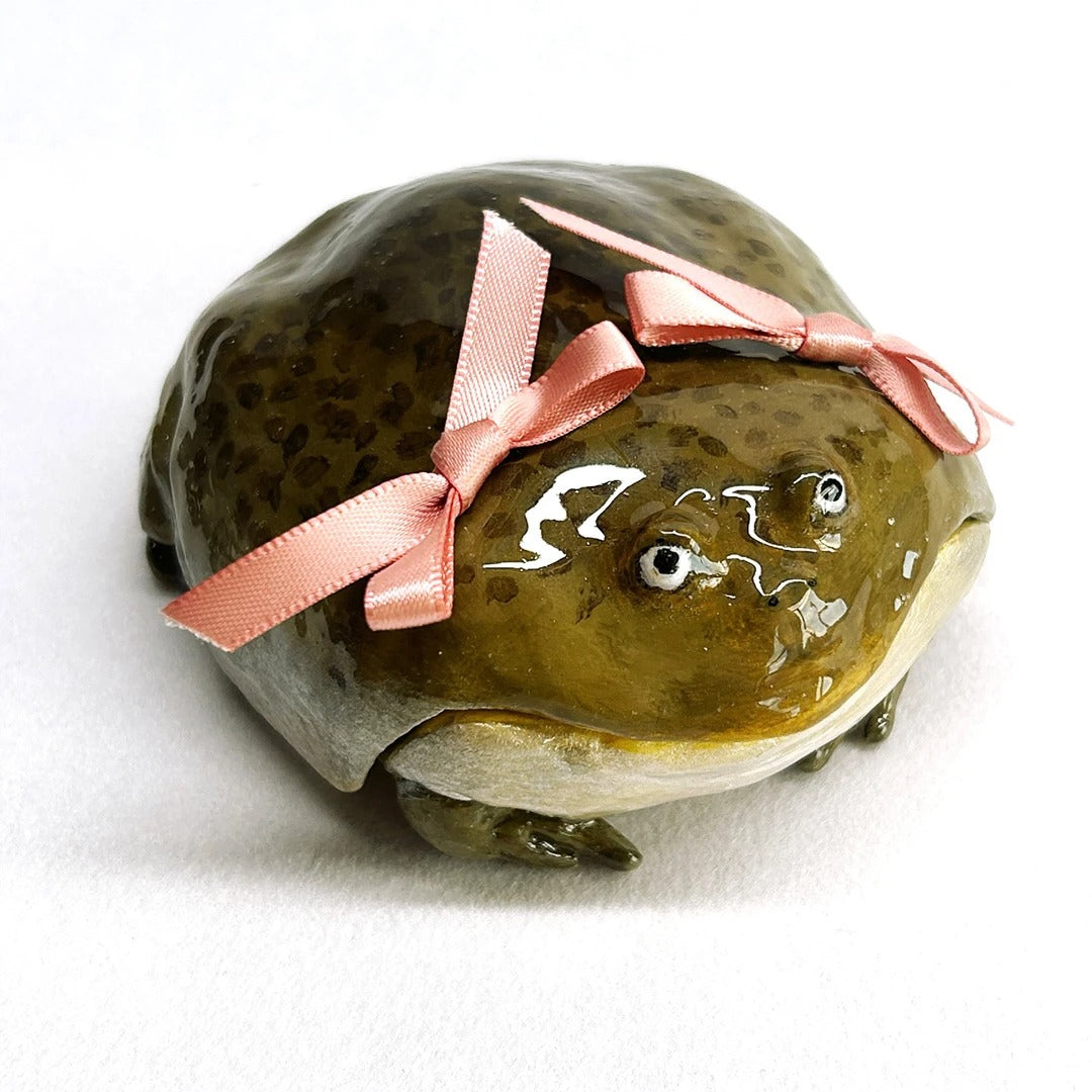 Ugly Frog Earphone Case Protector Funny Apple Earphone Case AirPods Pro 2 Second Generation Phone Case