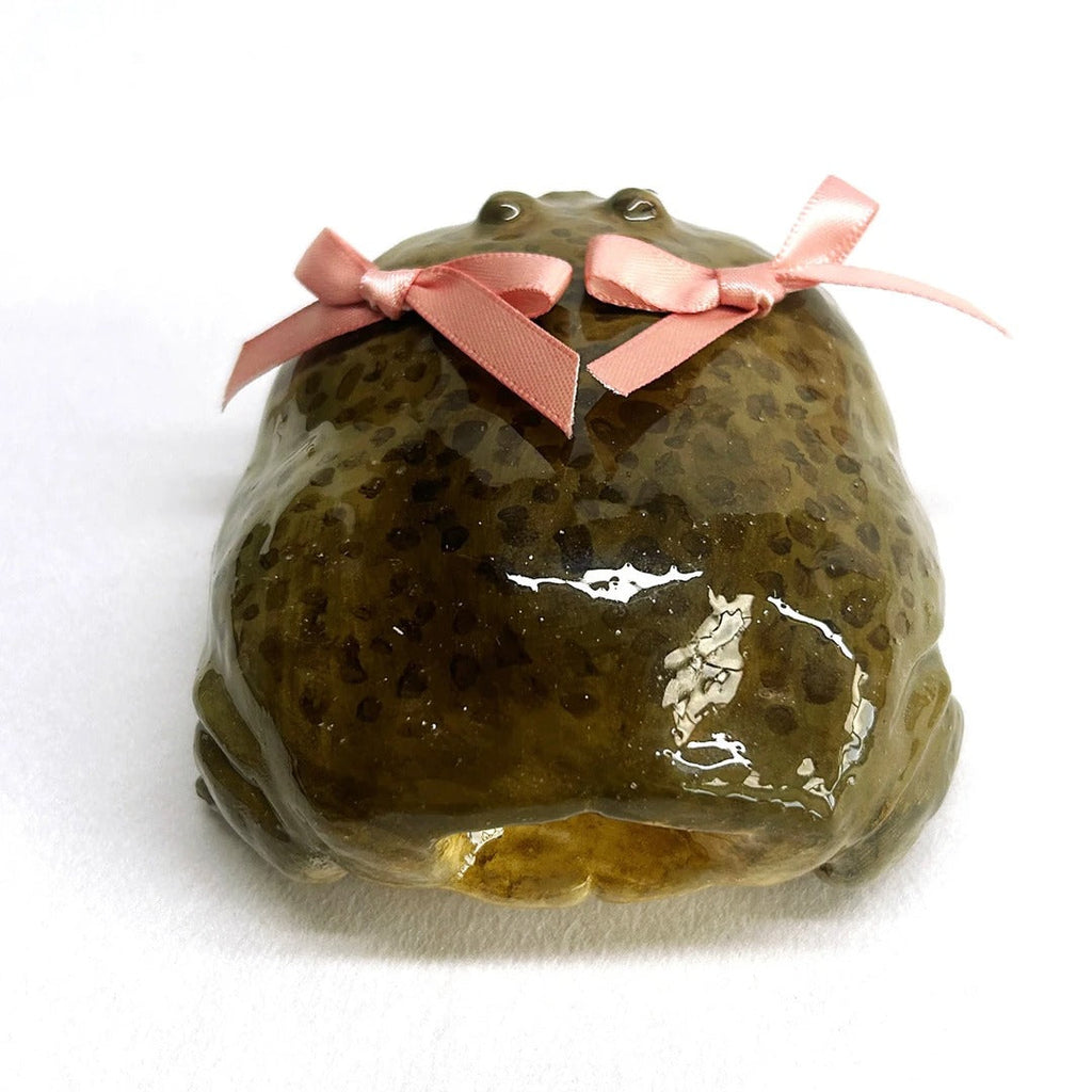 Ugly Frog Earphone Case Protector Funny Apple Earphone Case AirPods Pro 2 Second Generation Phone Case