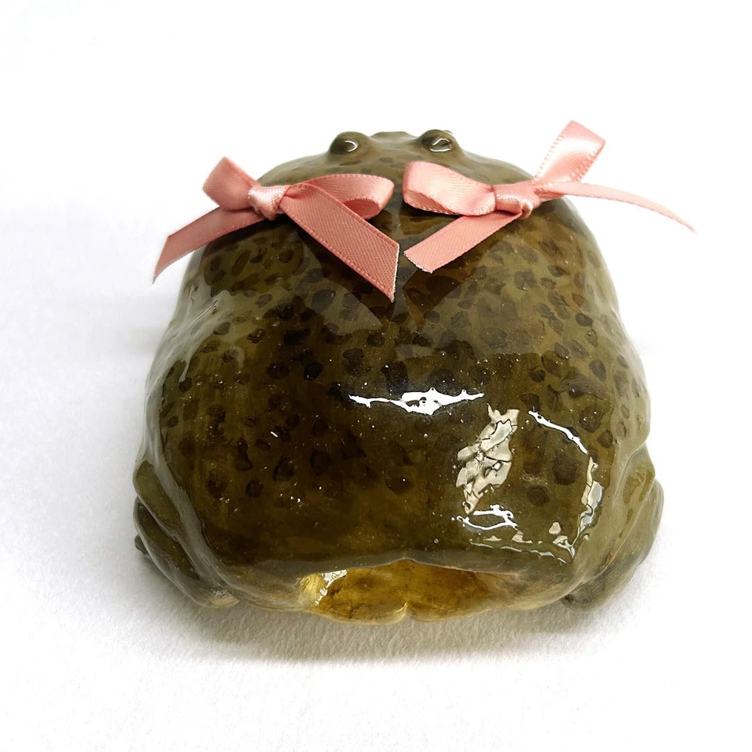 Ugly Frog Earphone Case Protector Funny Apple Earphone Case AirPods Pro 2 Second Generation Phone Case