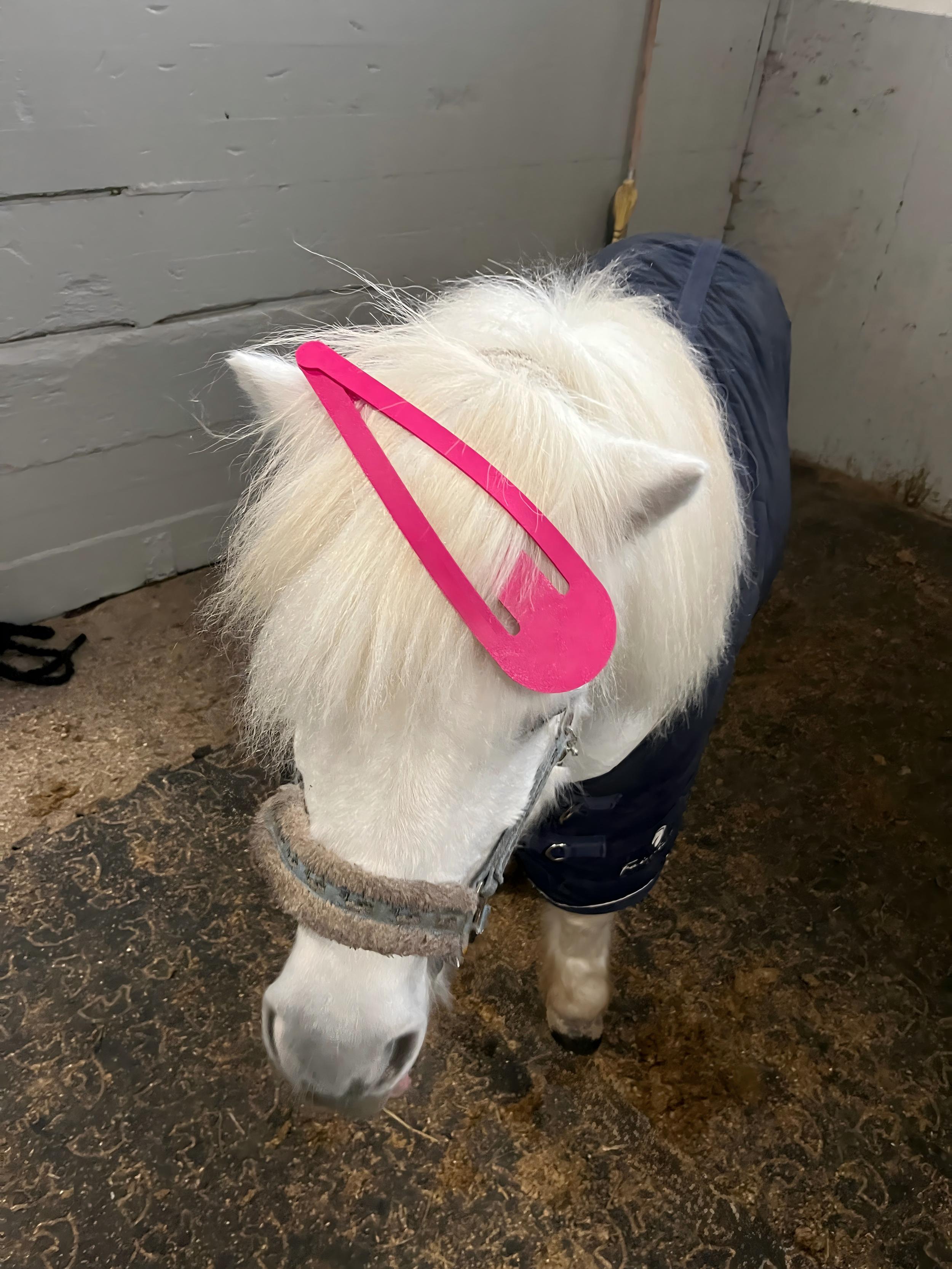 Extra Large PLA Material Hair Clip