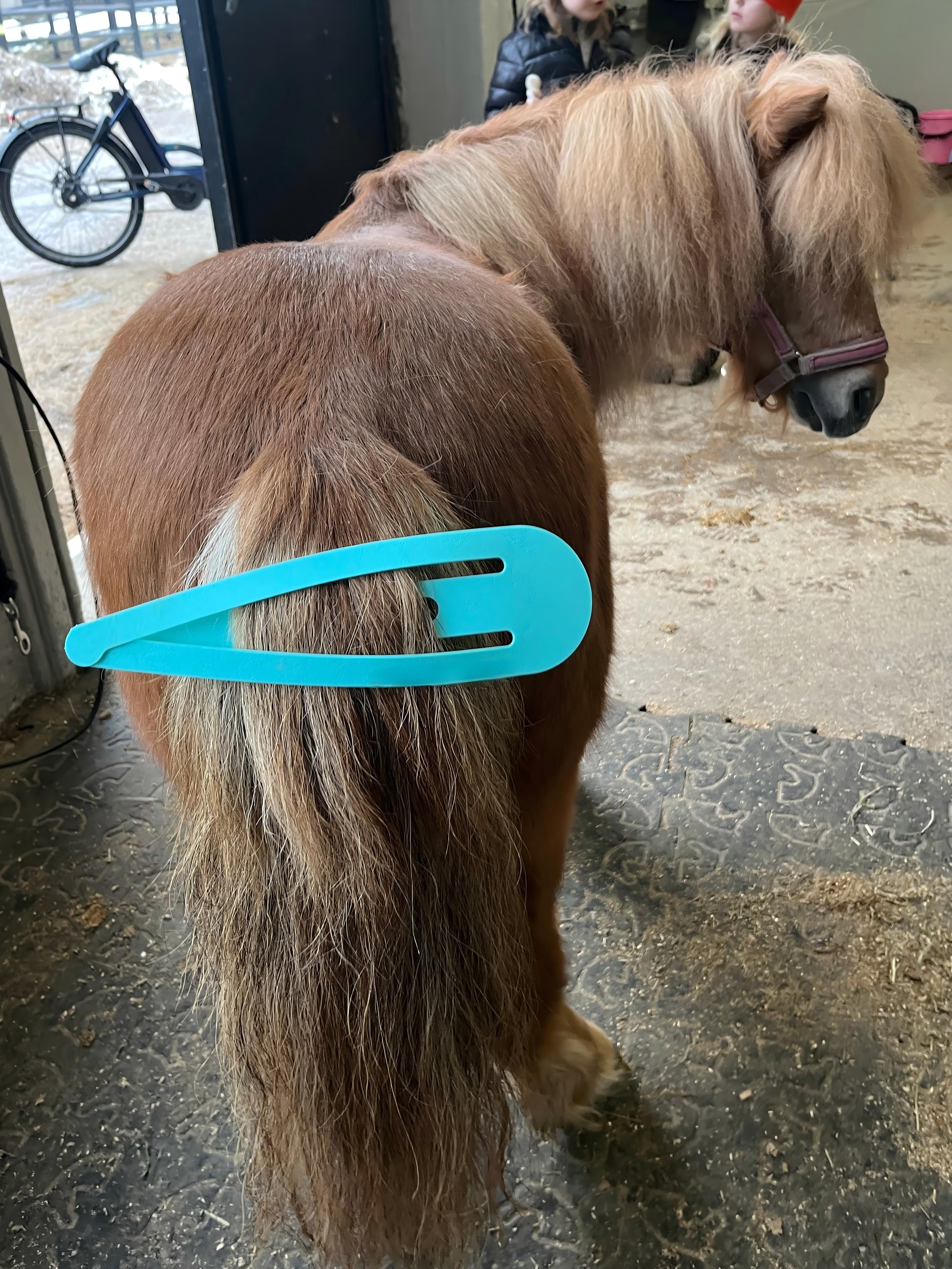 Extra Large PLA Material Hair Clip