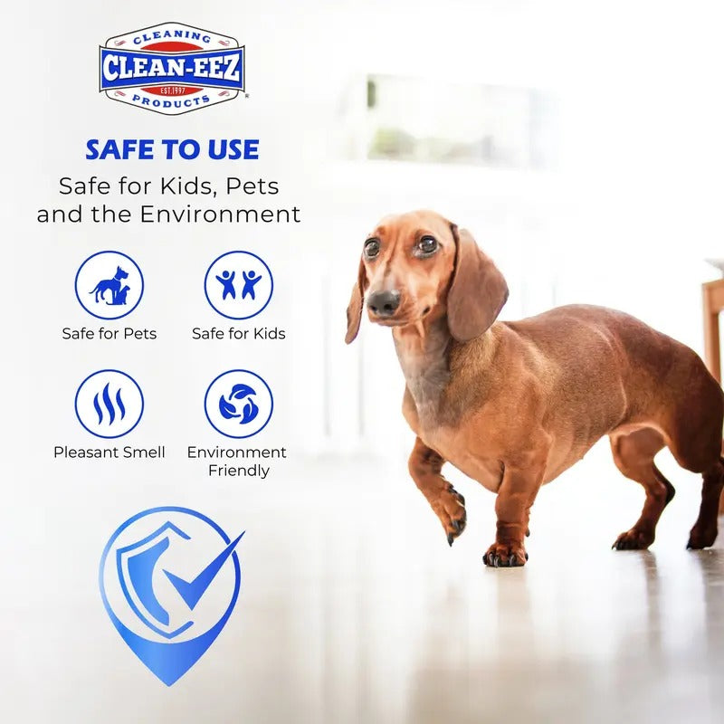 Floor Restorer & Polish w/applicator