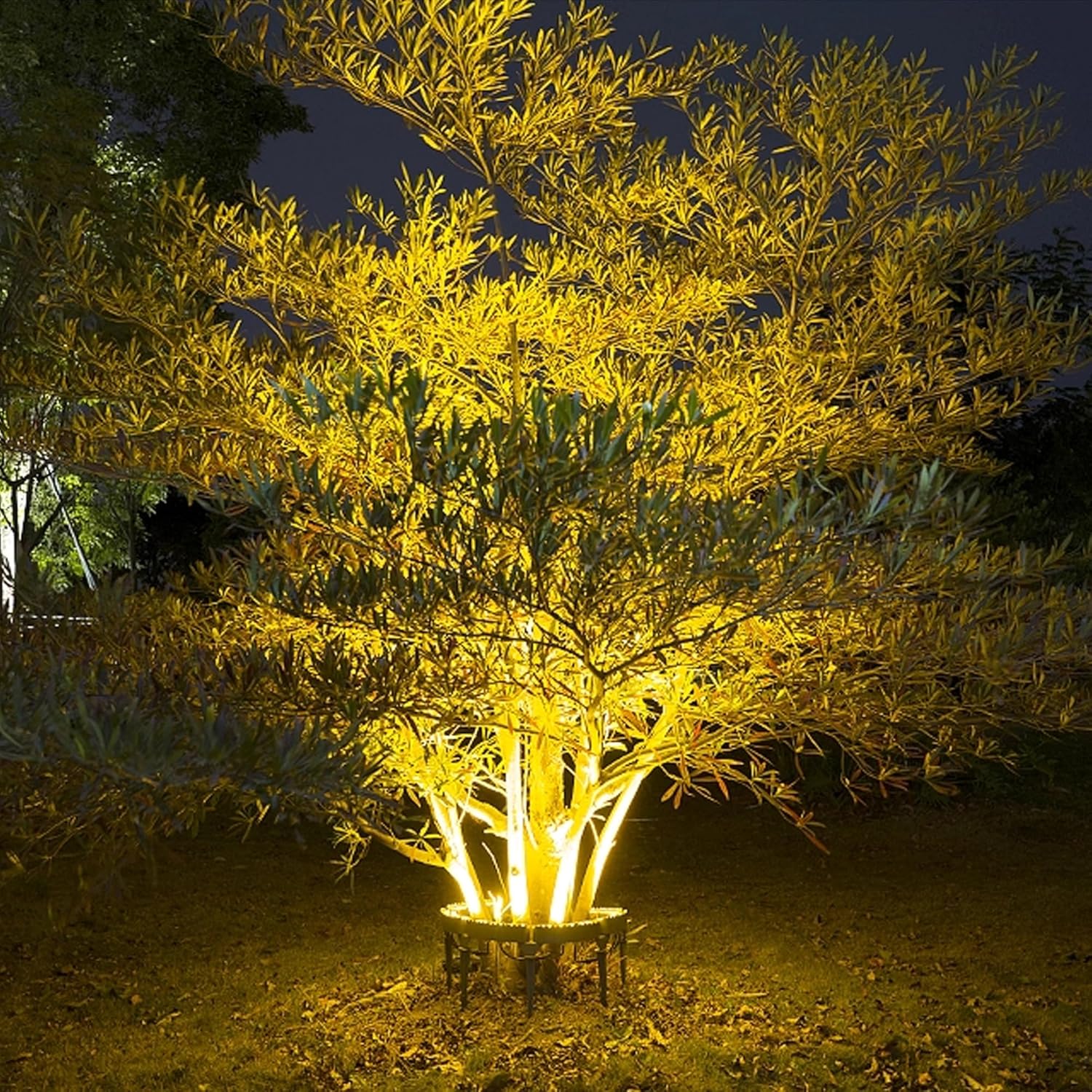 12W Warm White LED Ring Tree Hug Light, IP65 Outdoor Waterproof DC 24V Aluminum Landscape Lighting Tree Lamp