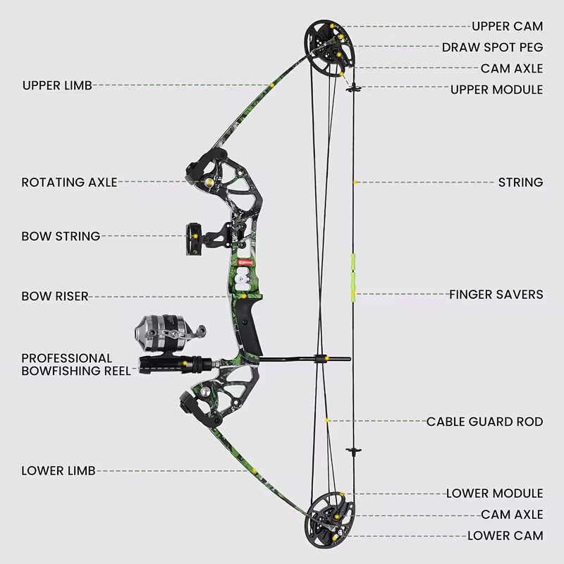 Bow and fishing set (including 3 arrows), 15-45 LBS draw length 18"-29.5", right-hand compound bow for fishing, reel, hunting, and shooting; fully adjustable.