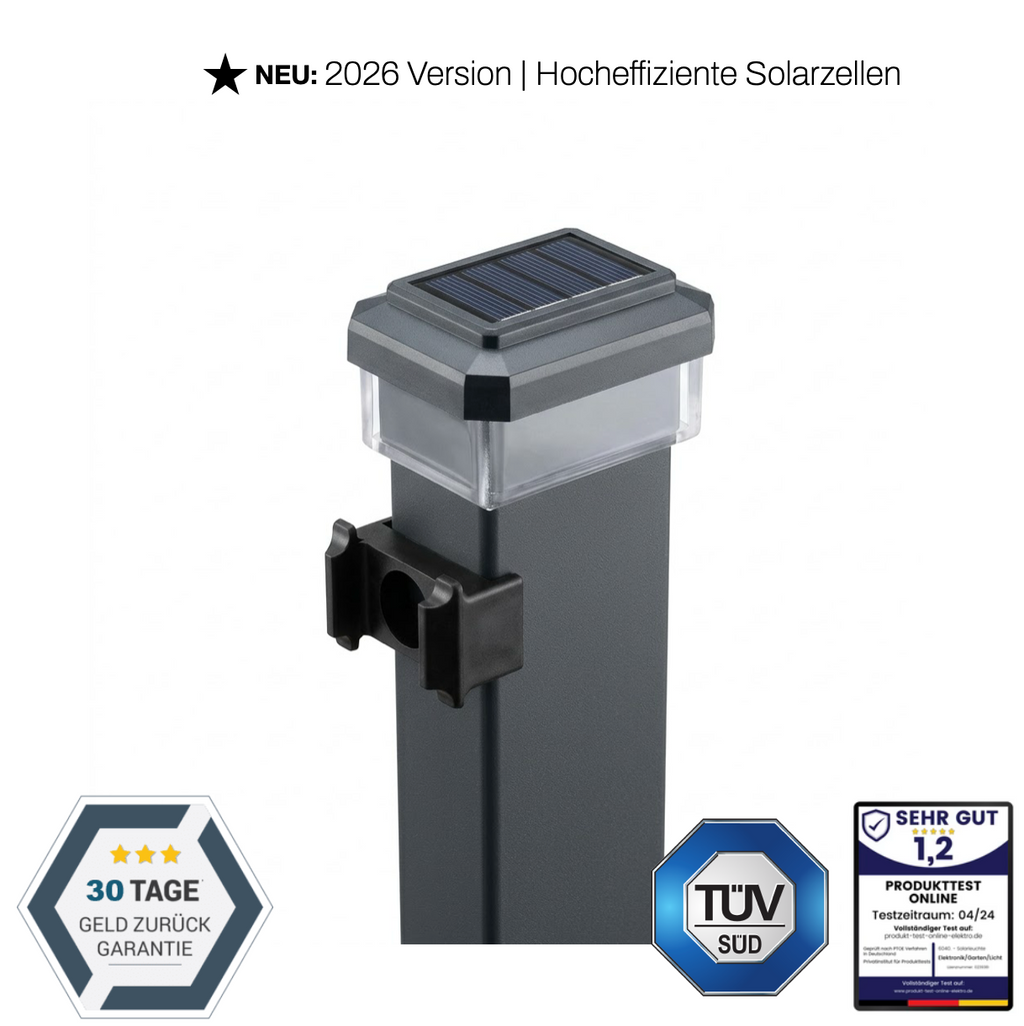 Solar LED lights