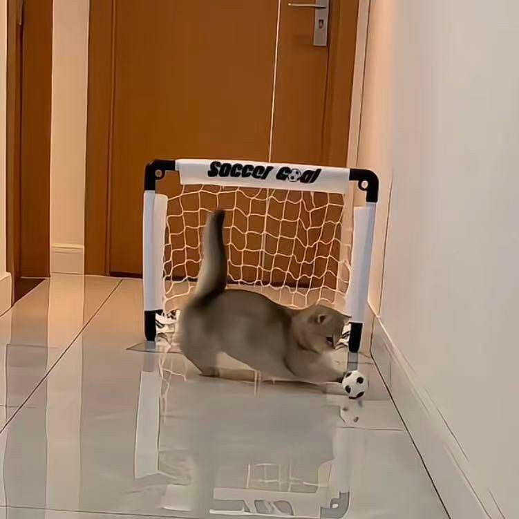 Mini cat soccer toy, portable foldable goal, pet toy