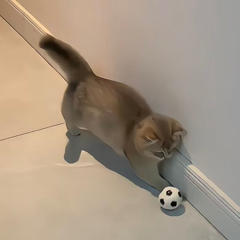 Mini cat soccer toy, portable foldable goal, pet toy