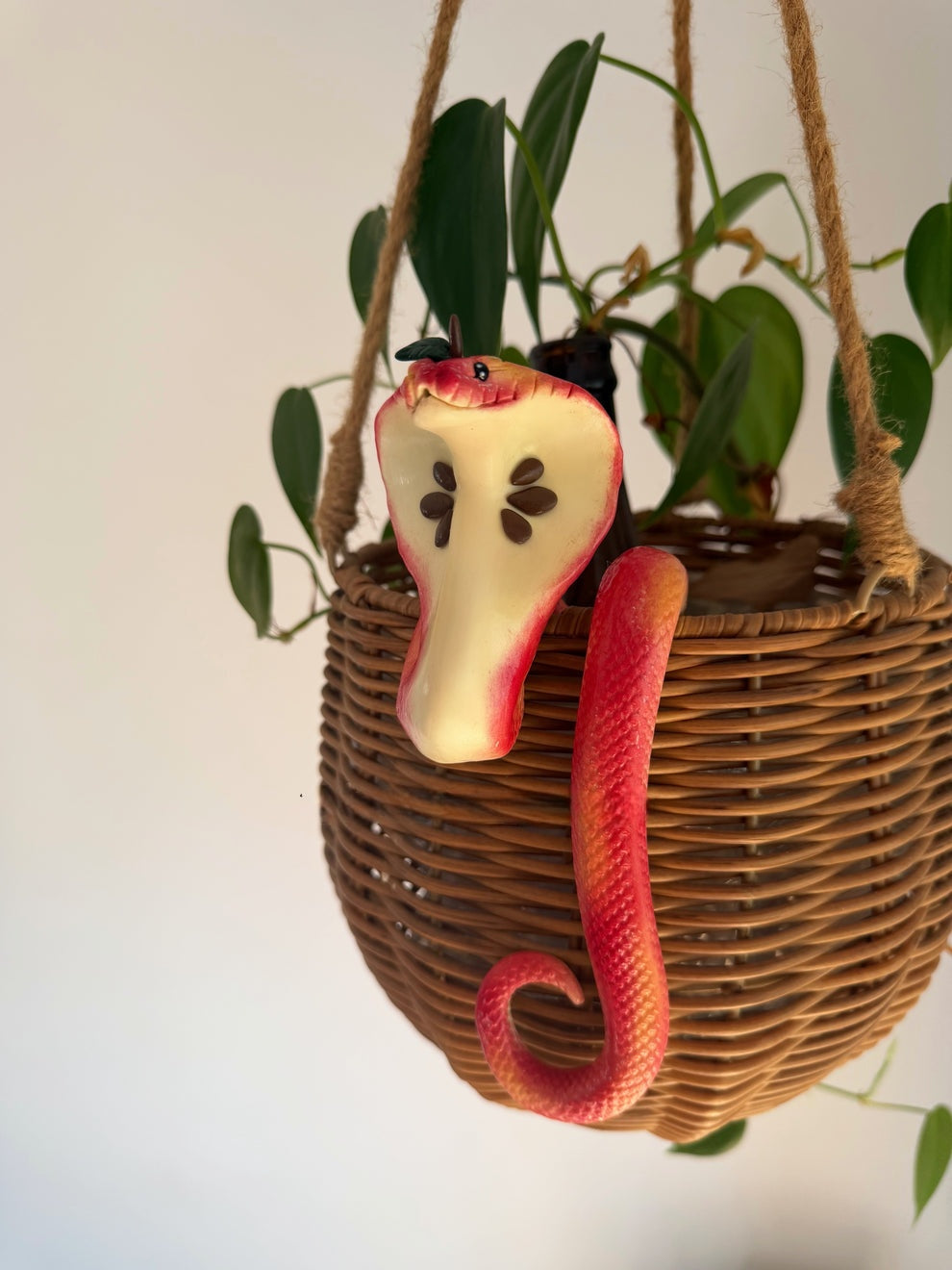 Cobra Hanging Planter Basket