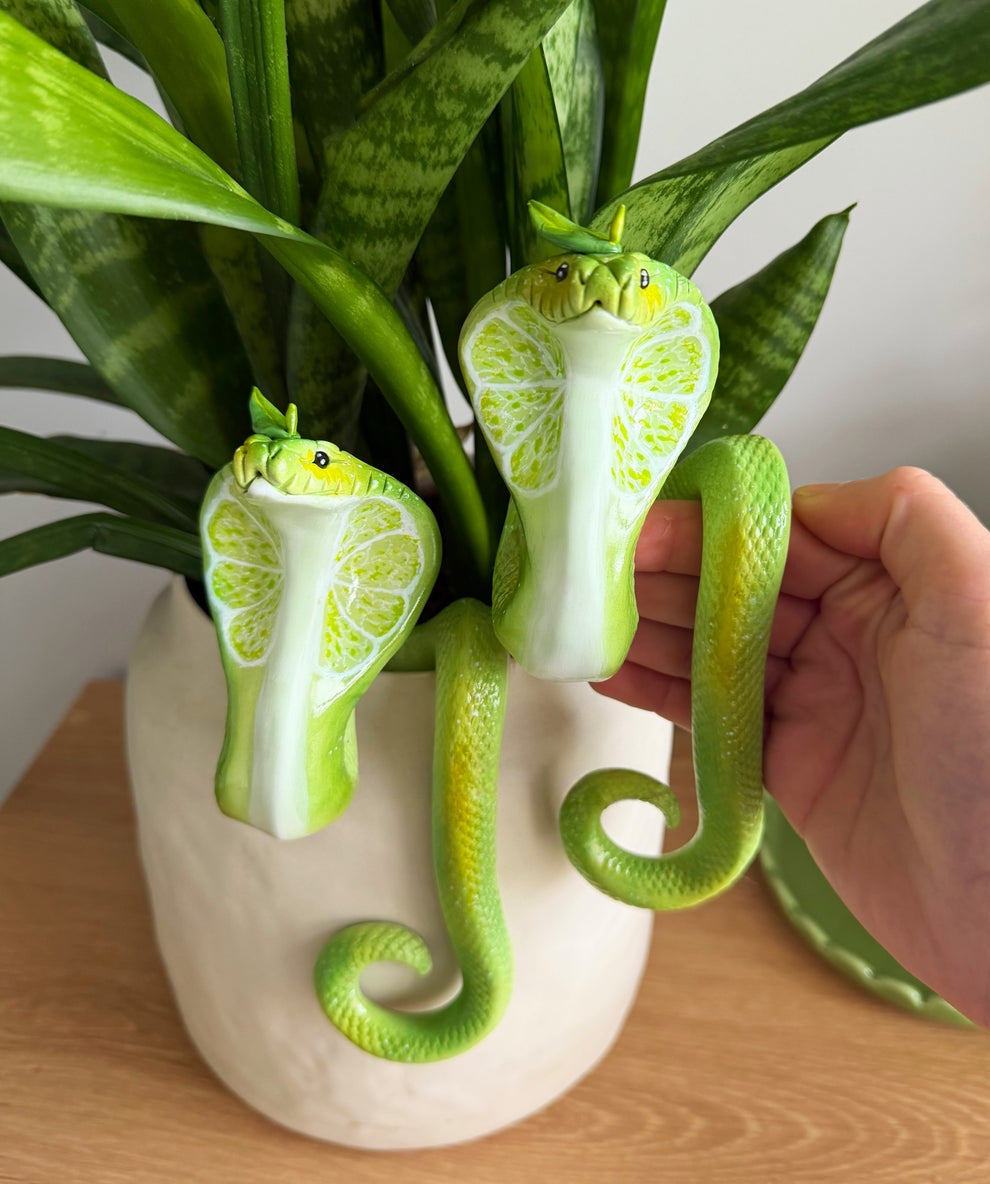 Cobra Hanging Planter Basket
