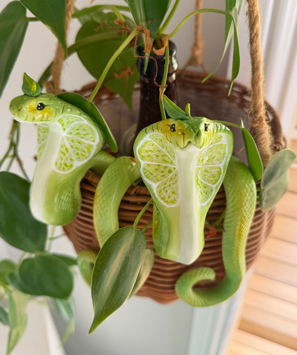 Cobra Hanging Planter Basket