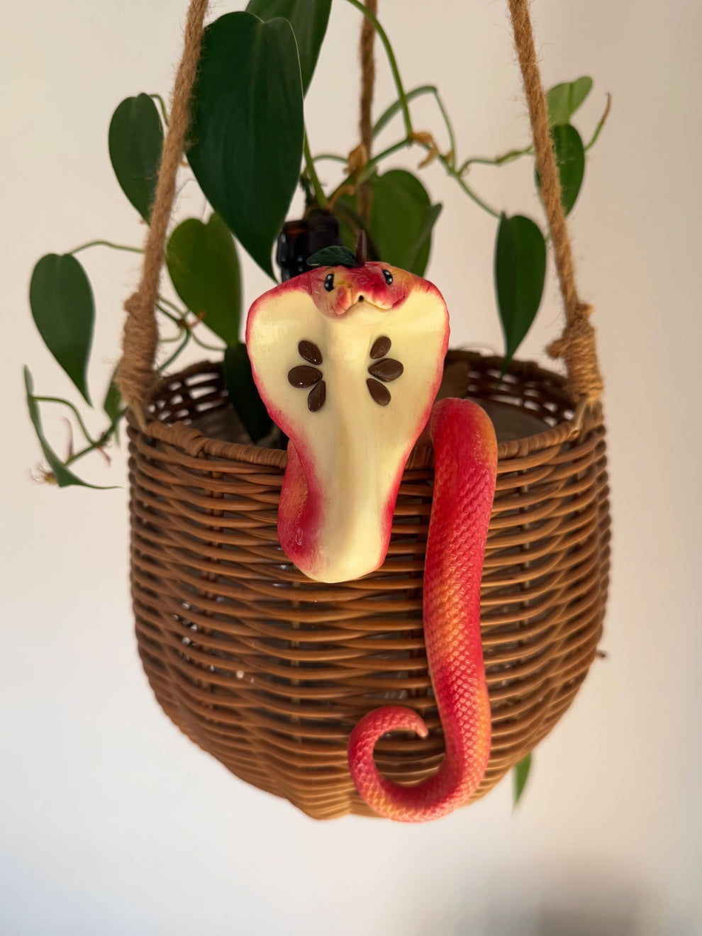 Cobra Hanging Planter Basket