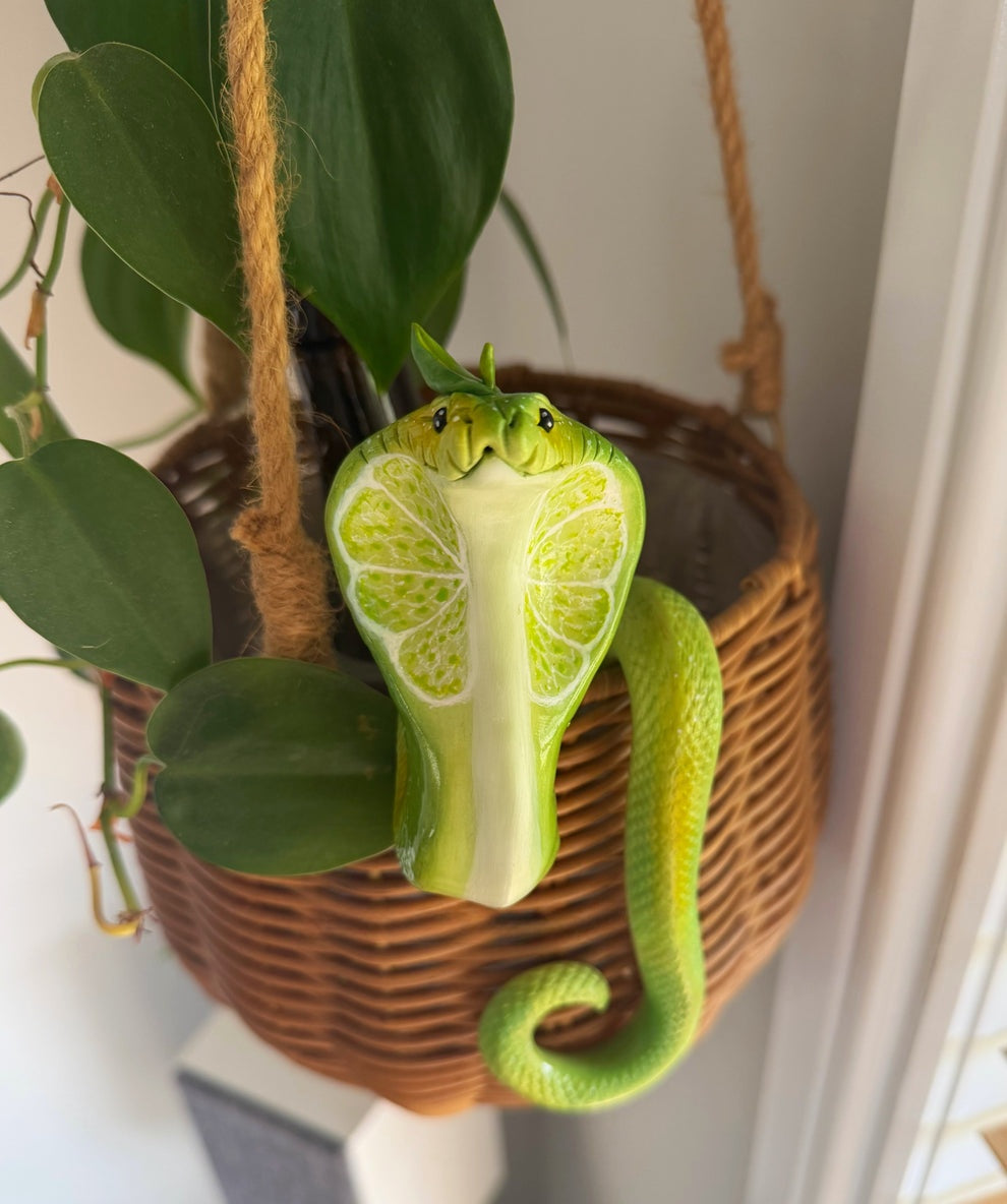 Cobra Hanging Planter Basket