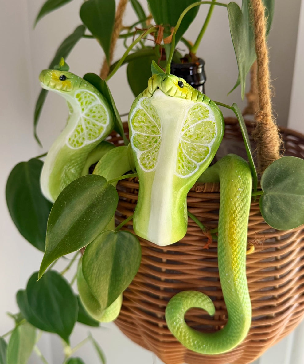 Cobra Hanging Planter Basket
