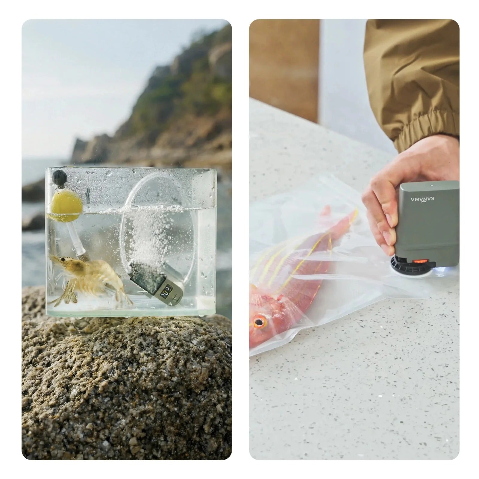 2-in-1 Waterproof Aerator & Vacuum Sealer
